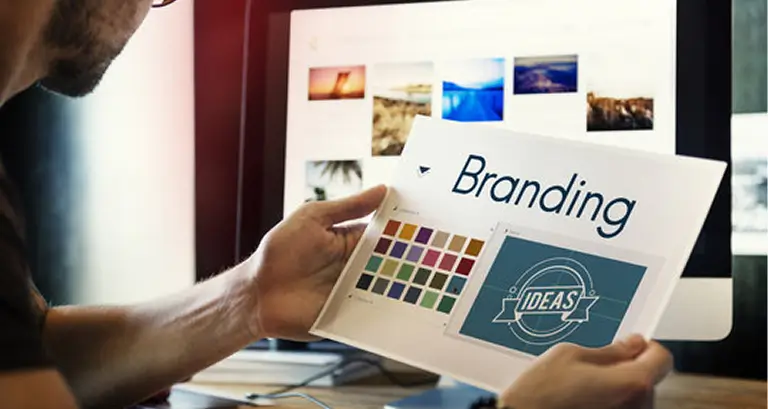 Professional Branding and Web Design in usa