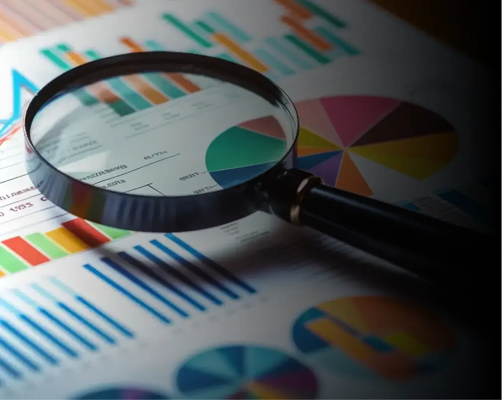 White Label SEO Services for Agencies