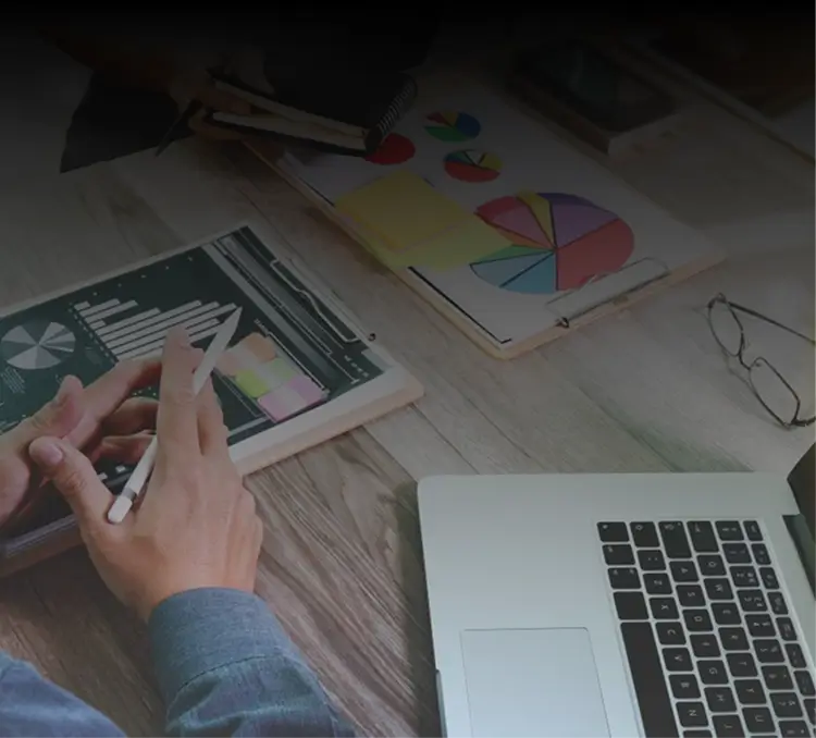 Web Design Services